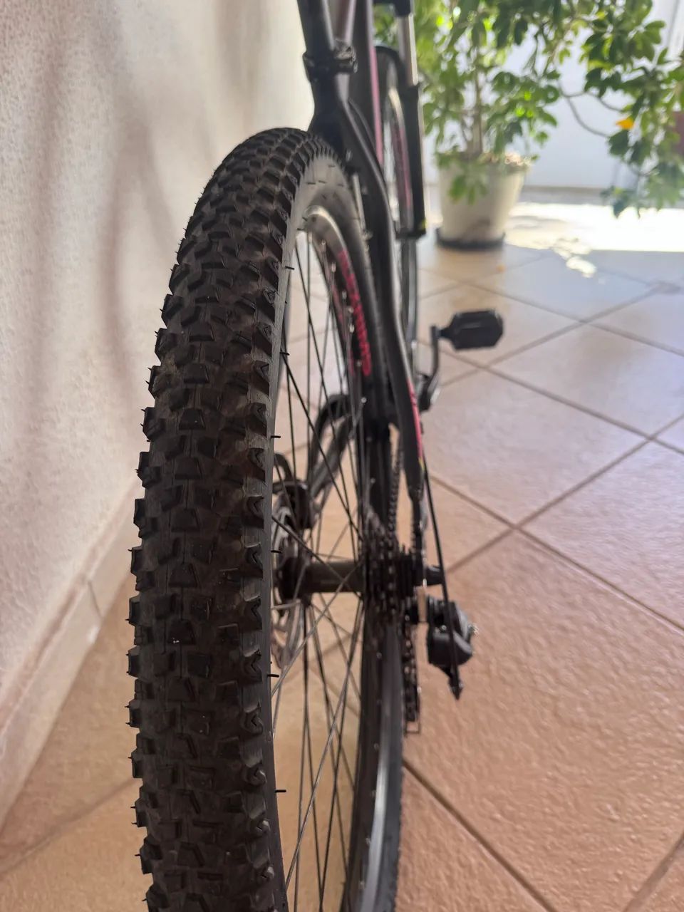 Oportunidade: OGGI SEMI NOVA - Foto 3