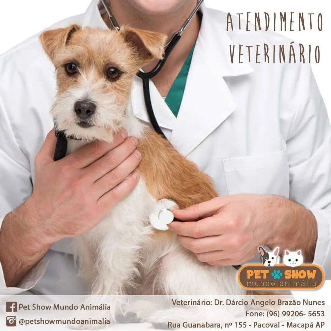 Consulta veterinária 