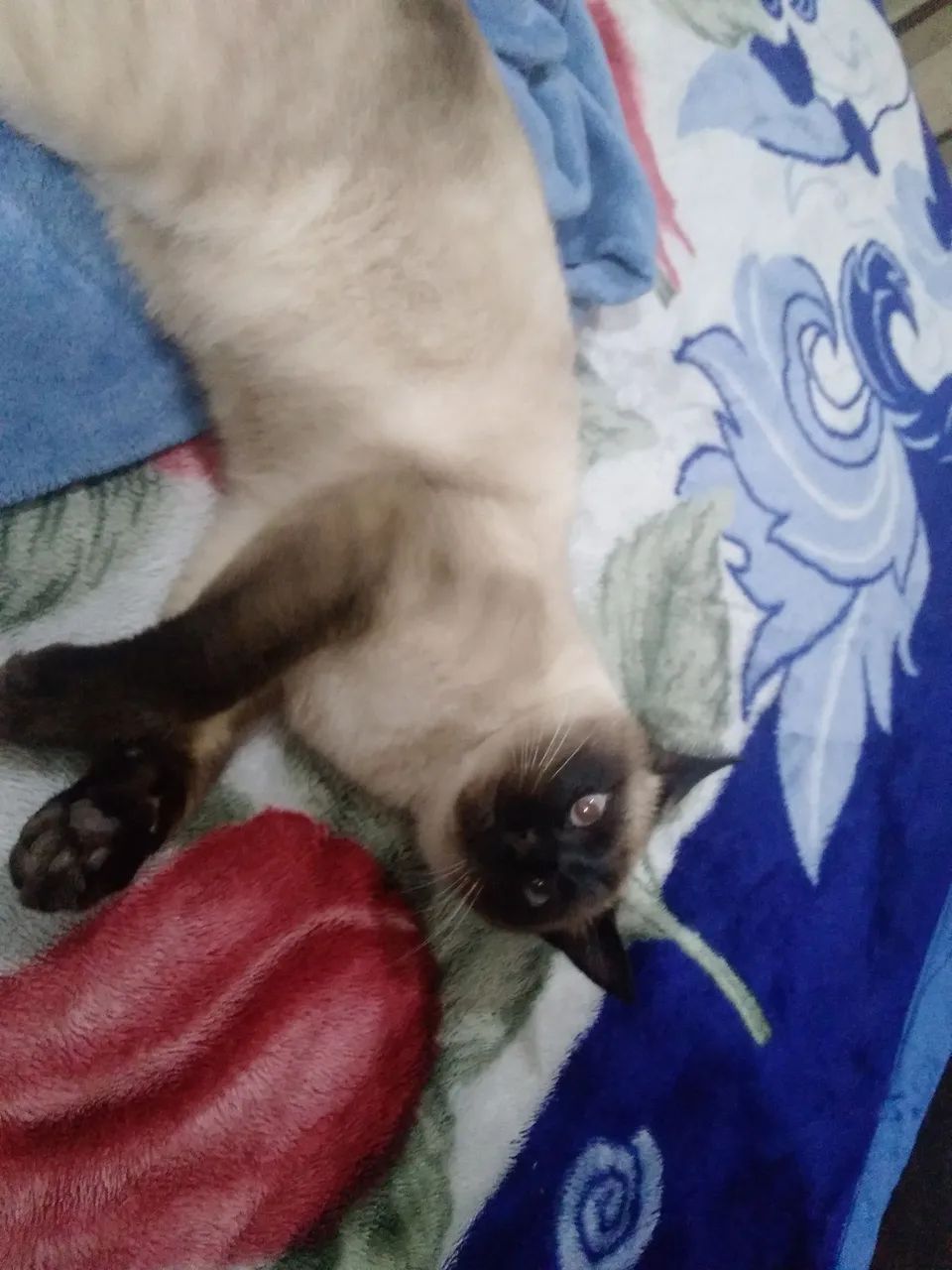Doação  - Foto 2