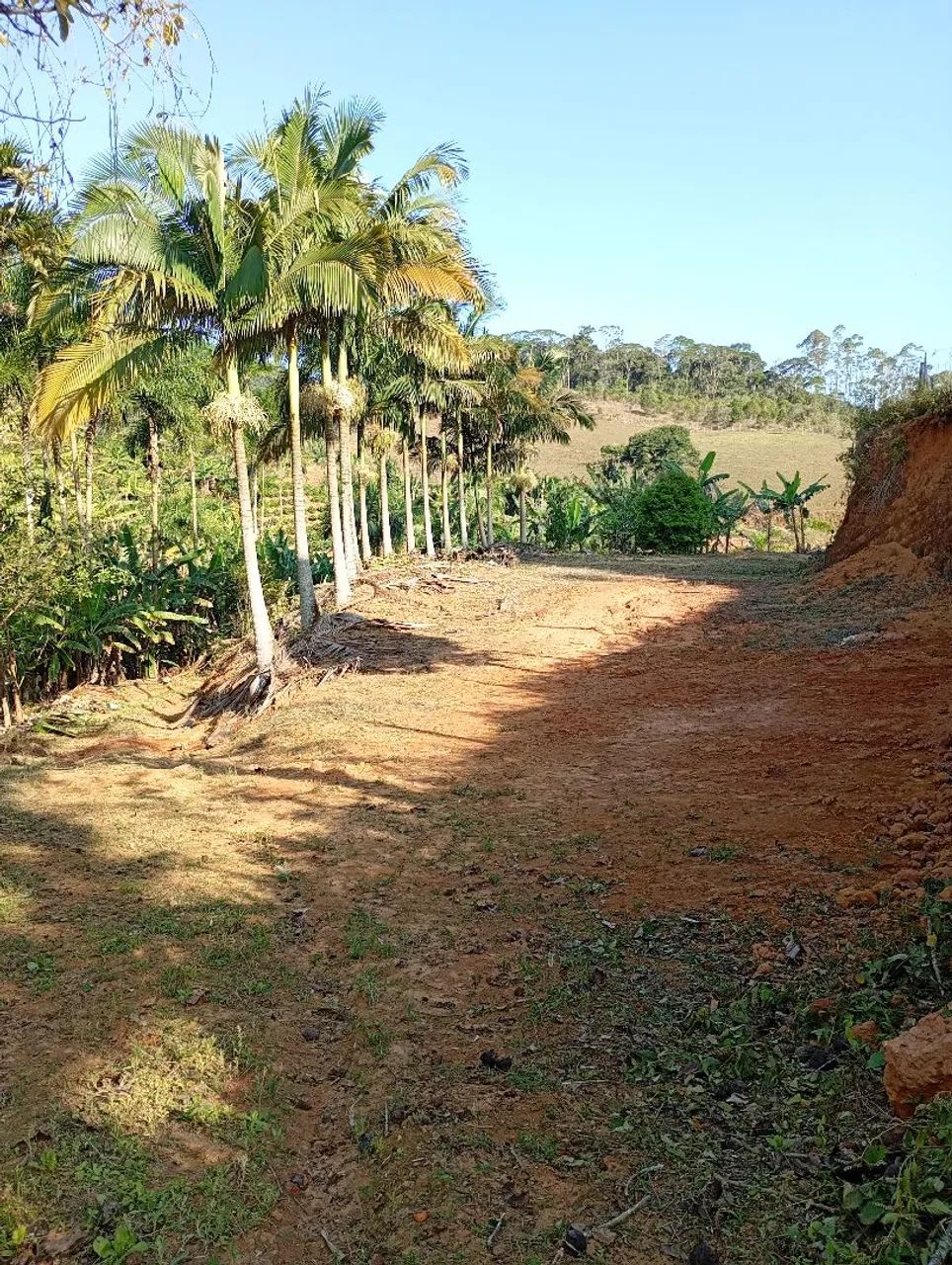 Terreno interior de Alf. Chaves  - Foto 5