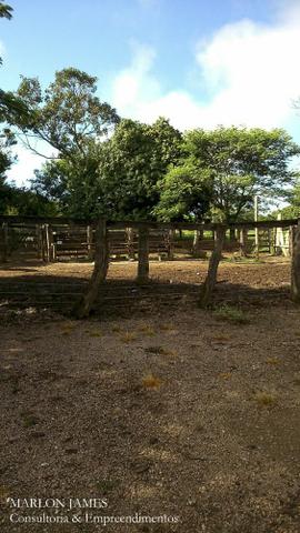 Fazenda Para Gado Ipameri-Go! - Foto 13