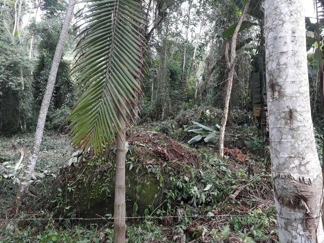 Vende se lote paraty * so nesse numero