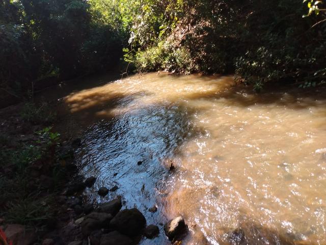 Fazenda, terra boa e pronta! - Foto 12