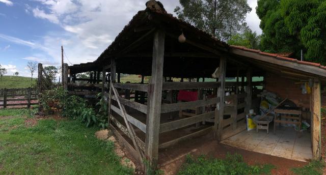 100% cultura. Fazenda 44 Alqueires ( 213 ha ) Cromínia-GO - Foto 13