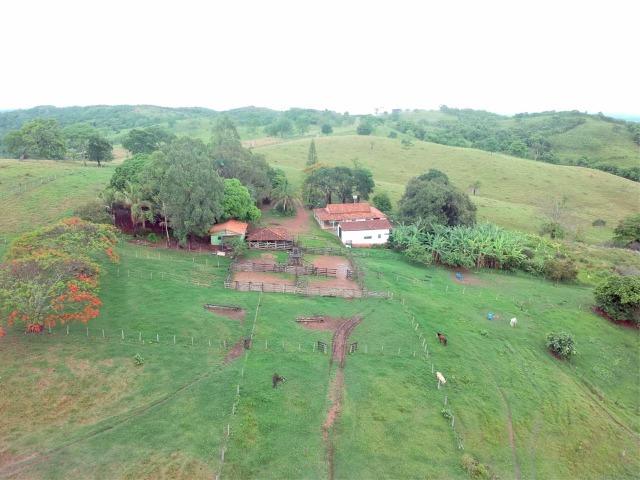 100% cultura. Fazenda 44 Alqueires ( 213 ha ) Cromínia-GO