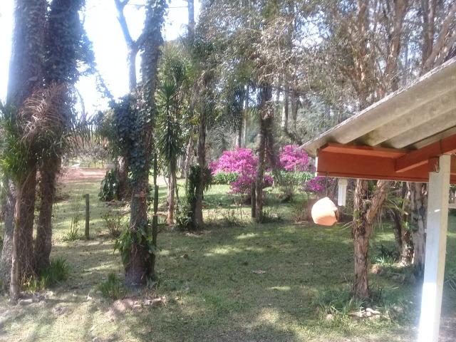 Linda Chácara 18.000 m² Doce Fino Quitandinha - Foto 12