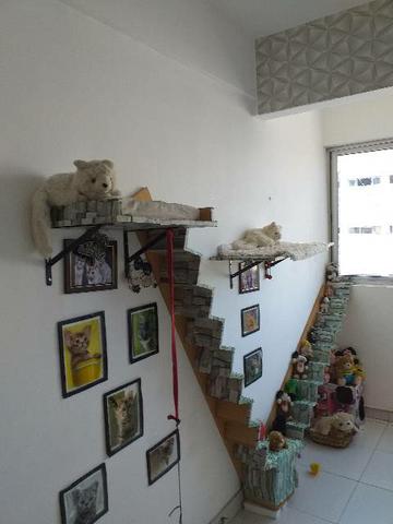 ESCADA PARA GATOS.