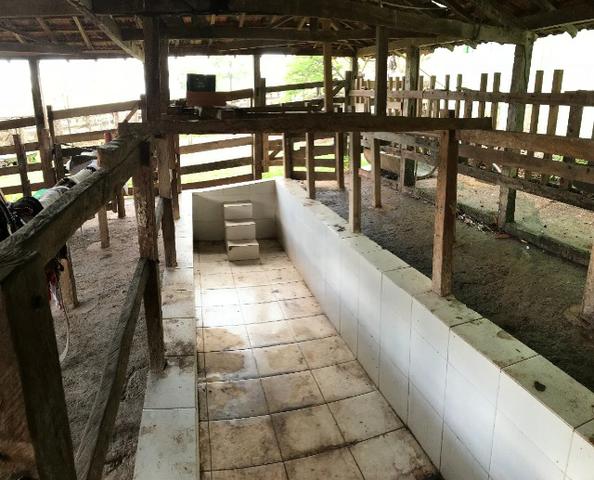 100% cultura. Fazenda 44 Alqueires ( 213 ha ) Cromínia-GO - Foto 8
