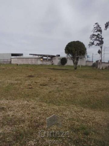 Terreno amplo no Costeira - Foto 9