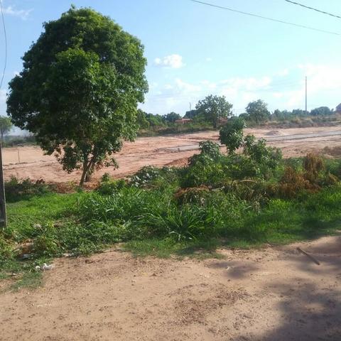 Lotes à venda no bairro Pedro Patrício em Timon - Maranhão - Foto 14