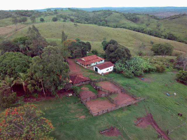 100% cultura. Fazenda 44 Alqueires ( 213 ha ) Cromínia-GO - Foto 6