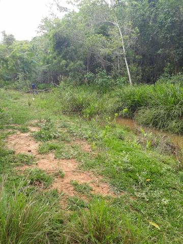 Fazendinha 20.000m2 Maravilhosa | Financia SEM Entrada | Fácil Pagar | AGT - Foto 6