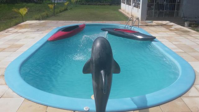 Praia de boa viagem/jarauna - Foto 12