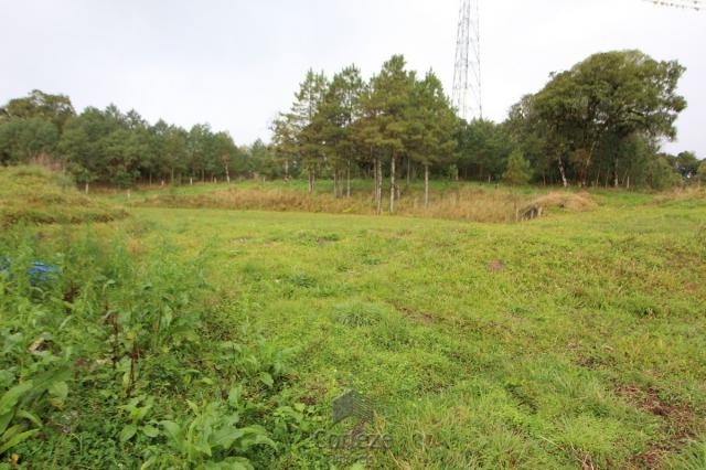 Chácara no Barro Branco em São José dos Pinhais - Foto 8