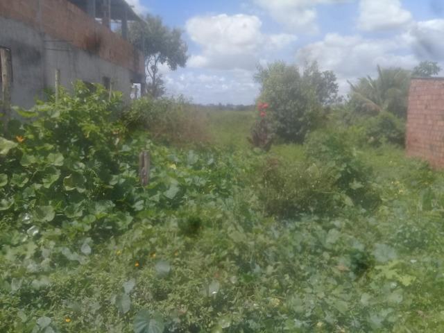 Terreno - Foto 2