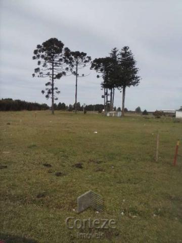 Terreno amplo no Costeira - Foto 3