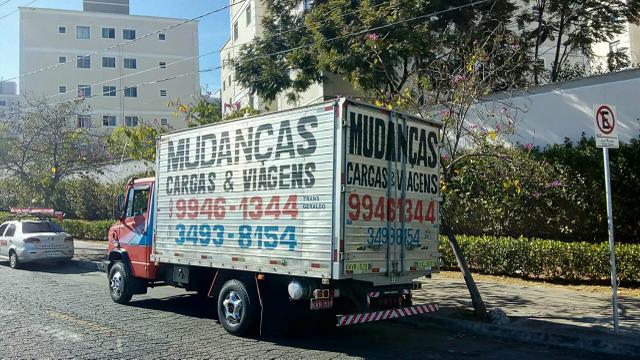 Transgeraldo mudanças carretos e viagens.