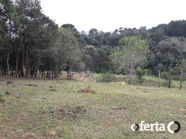 Chácara em Contenda com 30.170 metros quadrados - Foto 20