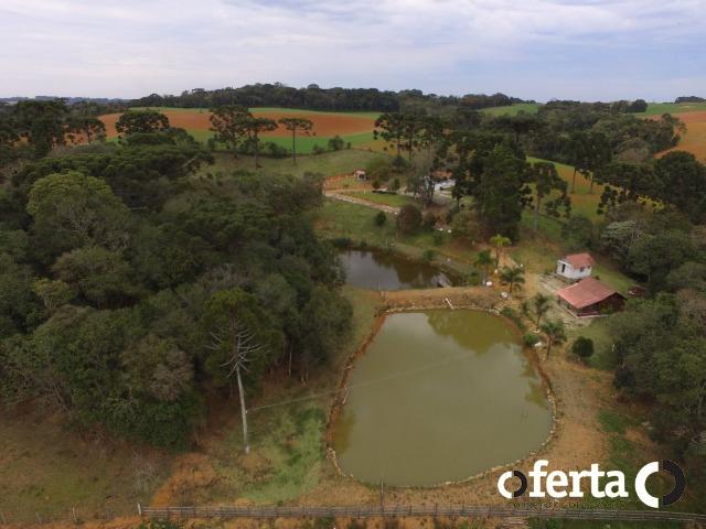 Chácara em Contenda com 30.170 metros quadrados - Foto 3