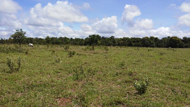 Bela Chacrinha 02ha - Lindo Lugar - Foto 3