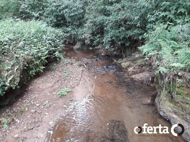 Chácara em Contenda com 30.170 metros quadrados - Foto 7