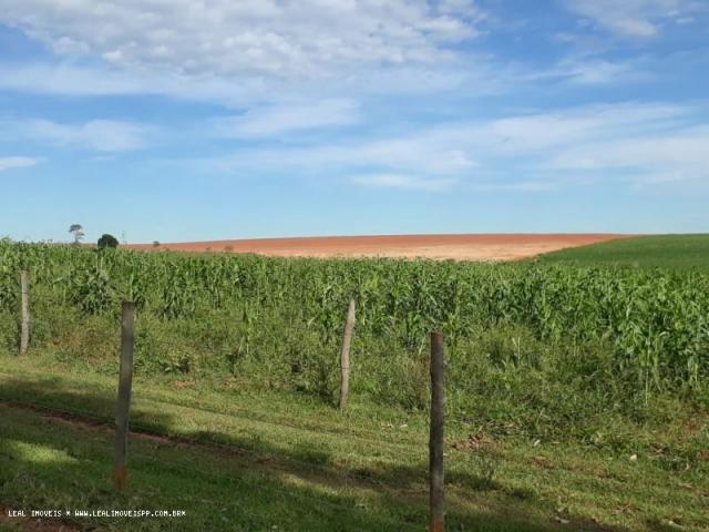 Fazenda para venda em estrela do norte, zona rural, 3 dormitórios, 1 suíte, 1 banheiro - Foto 20