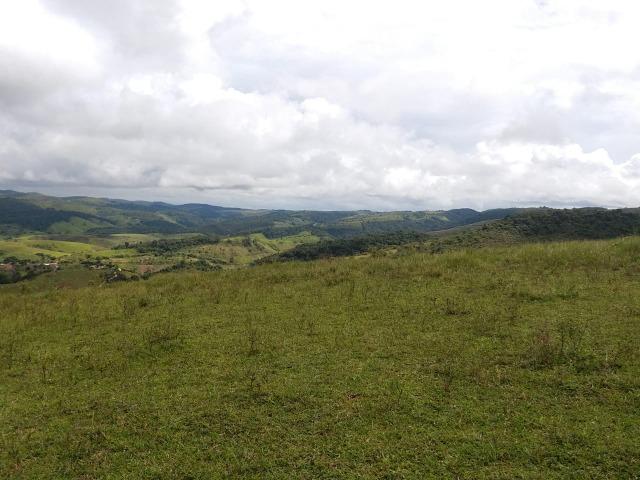 Temos Sua Fazenda de 65 hectares a 1.200 Hectares na Região de Pernambuco/PE - Foto 3