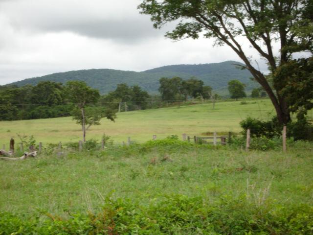 Fazenda em Poconé Cangas próximo á usina com 151 hectares