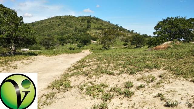 Areá com 65 Hectares nas Margens da Pista de Mandacaru em Gravatá-PE - Foto 7