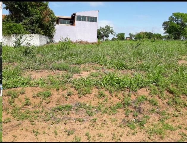 Lote Arara Vermelha Aparecida Taboado Ms, para Rancho** área de camping e piscina - Foto 10