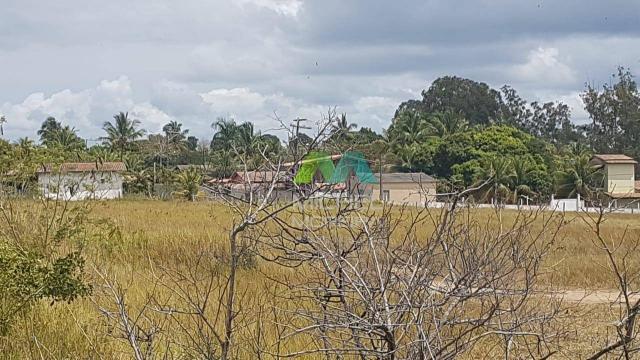 Terreno de 14.000m² - frente para o mar - cumuruxatiba - bahia - Foto 20