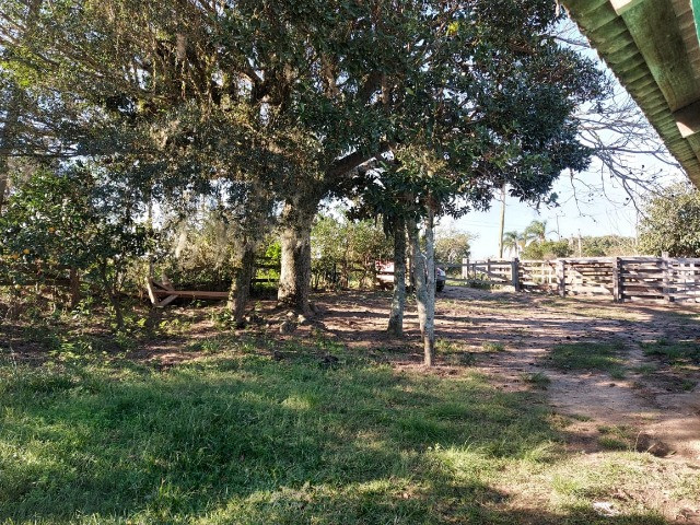Velleda oferece 4 hectares c/ campo ideal para cavalos ou ovelhas, luz CEEE - Foto 15