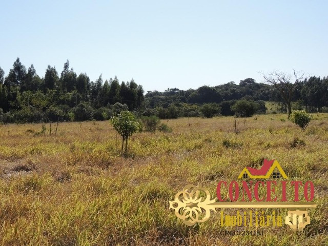Excelente sítio com 30.000m² e benfeitoria nova - Confira - Foto 17