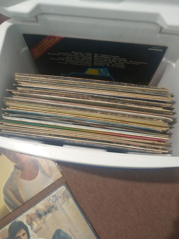 Disco de vinil (LP)
