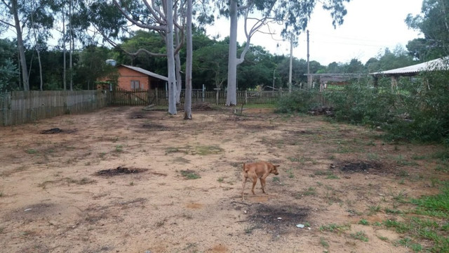 Velleda oferece excelente local para quem busca paz e tranquilidade - Foto 16