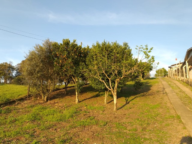 Terreno Fazenda Souza - Foto 8