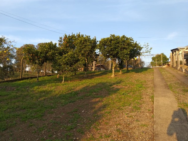 Terreno Fazenda Souza - Foto 5