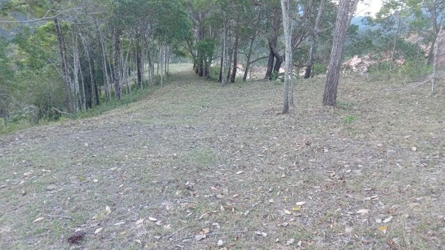 Recanto entre as montanhas e o mar, 4 hectares - Foto 2