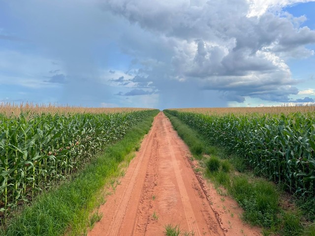 Fazenda de 3.580 hectares em Ipiranga do Norte-MT - Foto 6