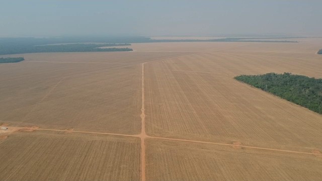 Fazenda de 3.580 hectares em Ipiranga do Norte-MT