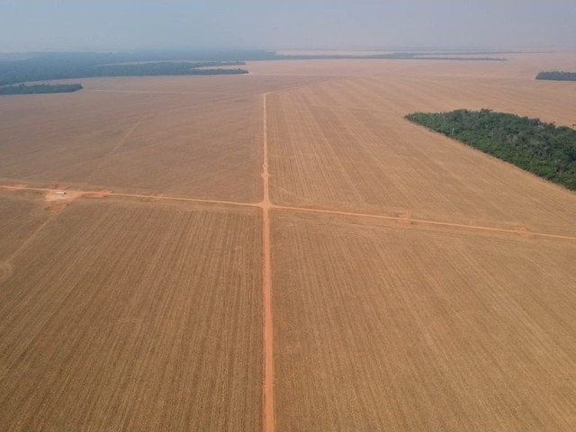 Fazenda de 3.580 hectares em Ipiranga do Norte-MT - Foto 2