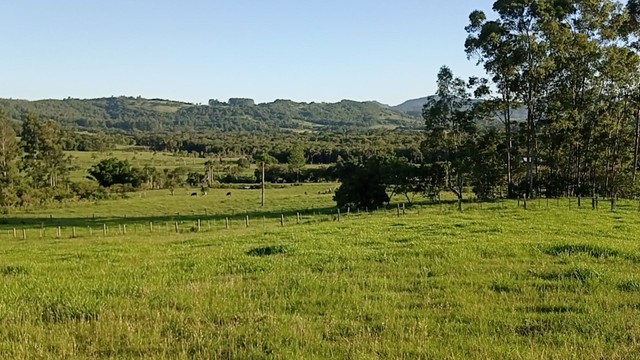 Chácara com 2 Hectares com arroio  - Foto 2
