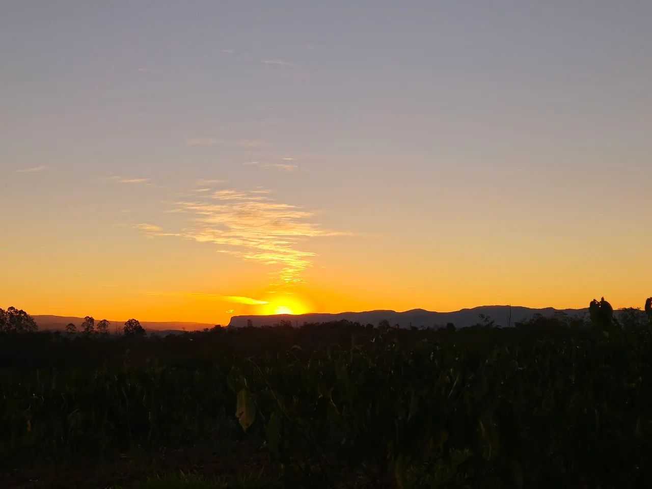 Café do Galeno - especial em grãos 250g - Serra da Canastra - Foto 5
