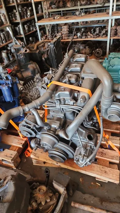Motor MWM 229 4cc