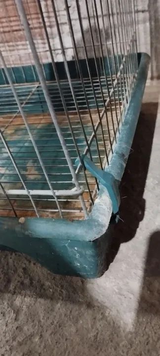 Gaiola para Roedores - Aceito ofertas - Foto 5