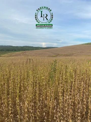 Fazenda 400 alqueires Plantando Próximo de Palmas - Foto 4