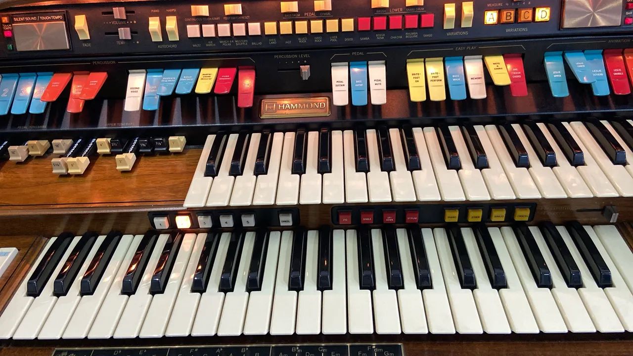 Manutenção órgãos eletrônicos e pianos digitais - Foto 2