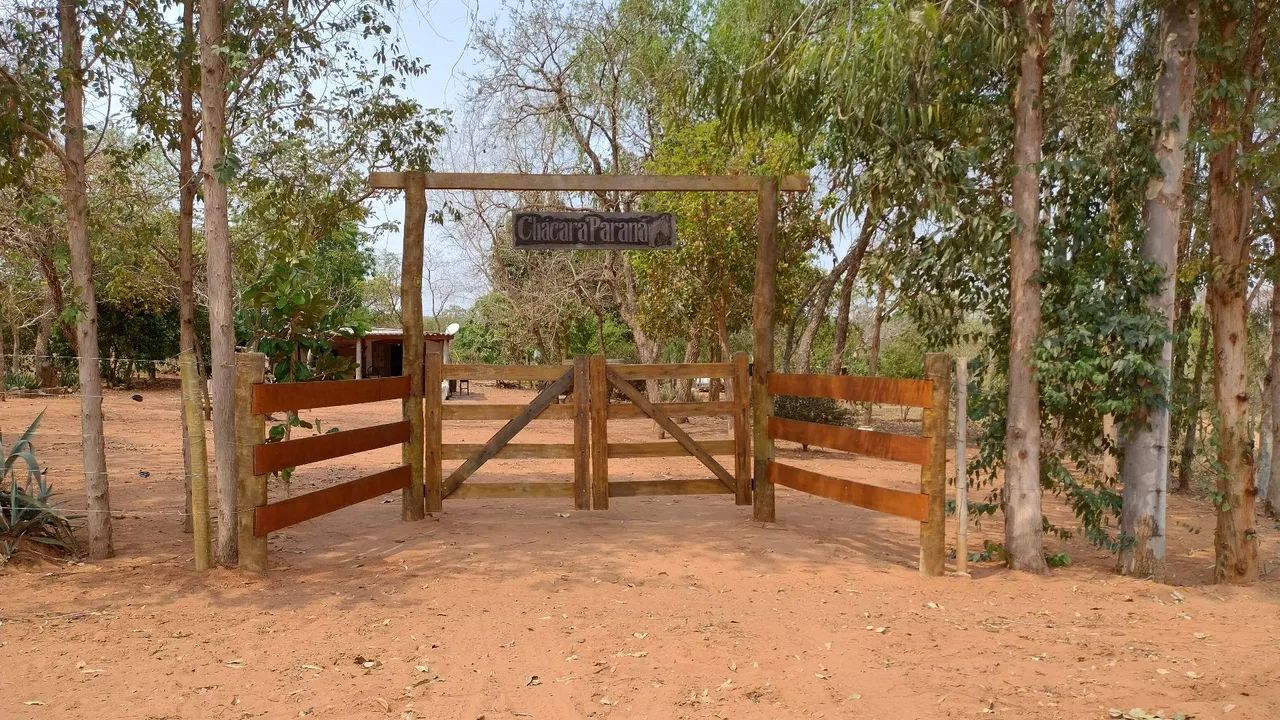 foto - Campo Grande - Guanandi