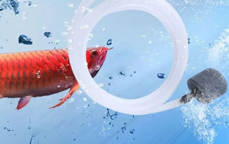 Bomba De OxigênioDo Aquário Bomba De Ar Usb   Arduino Automação COD-CP731