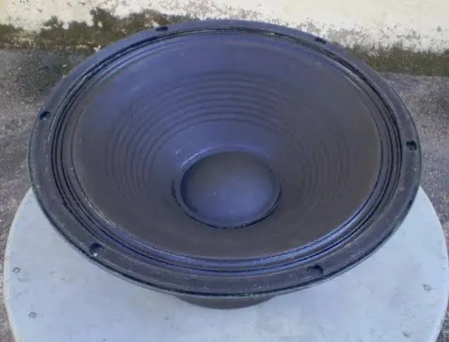 Alto-falante 15 polegadas 150w e outro de 250w